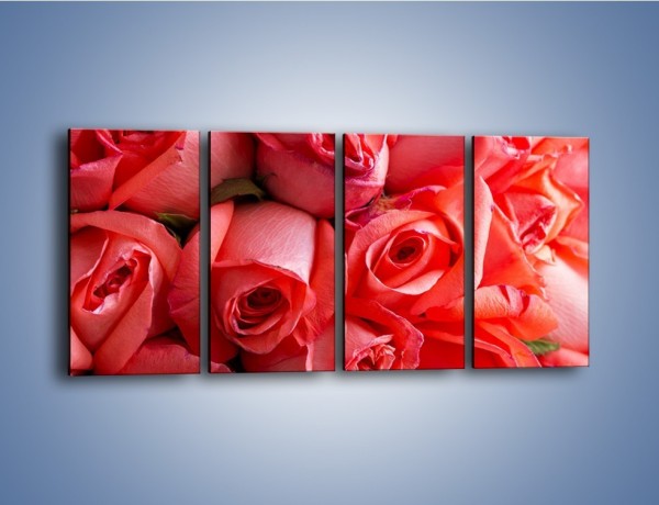 Obraz na płótnie – Tylko widoczne róże – czteroczęściowy K1004W1