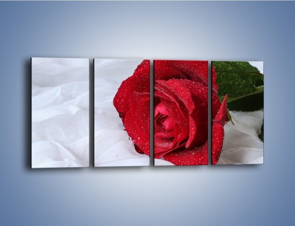 Obraz na płótnie – Bordowa róża na białej pościeli – czteroczęściowy K1023W1