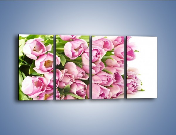 Obraz na płótnie – Ścięte tulipany w bieli – czteroczęściowy K110W1