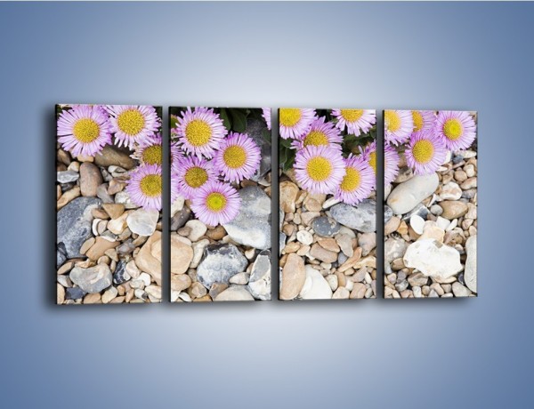 Obraz na płótnie – Kolorowe kamienie czy małe kwiatuszki – czteroczęściowy K146W1