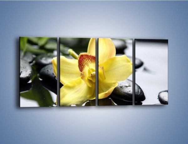 Obraz na płótnie – Żółty kwiat na mokrych kamieniach – czteroczęściowy K155W1