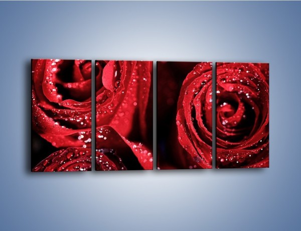 Obraz na płótnie – Róża czerwona jak wino – czteroczęściowy K170W1
