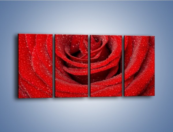 Obraz na płótnie – Czerwona moc w róży – czteroczęściowy K171W1