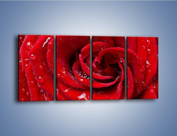 Obraz na płótnie – Kwiat pełen miłości – czteroczęściowy K179W1