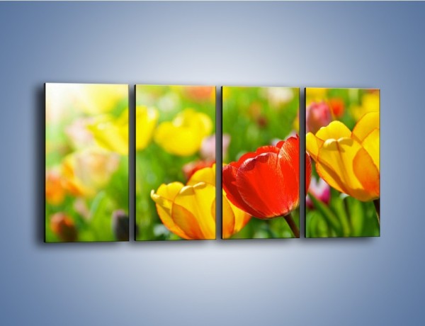 Obraz na płótnie – Wiosenne piękno w tulipanach – czteroczęściowy K213W1