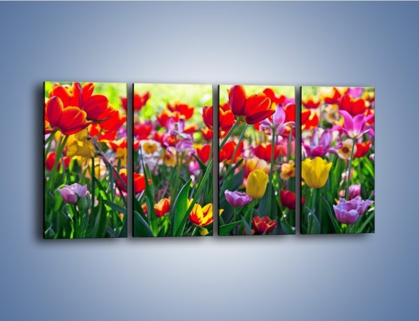 Obraz na płótnie – Odpoczynek wśród tulipanów – czteroczęściowy K218W1