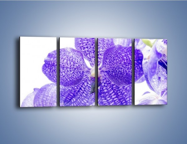 Obraz na płótnie – Jasny fiolet rządzi w kwiatach – czteroczęściowy K259W1