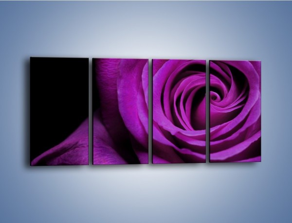 Obraz na płótnie – Tajemniczy różany fiolet – czteroczęściowy K313W1