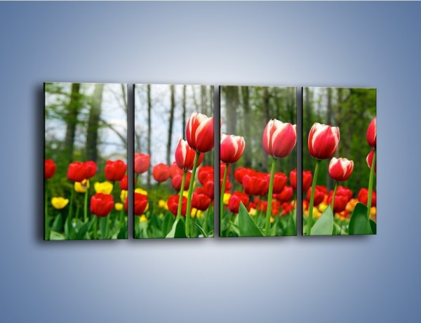 Obraz na płótnie – Leśna polana pełna tulipanów – czteroczęściowy K319W1