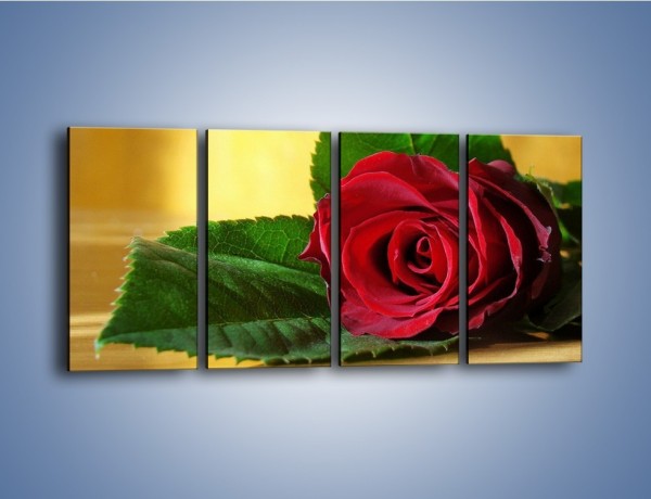 Obraz na płótnie – Róża w domowym zaciszu – czteroczęściowy K339W1