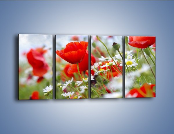 Obraz na płótnie – Polana pełna kwiatów – czteroczęściowy K371W1