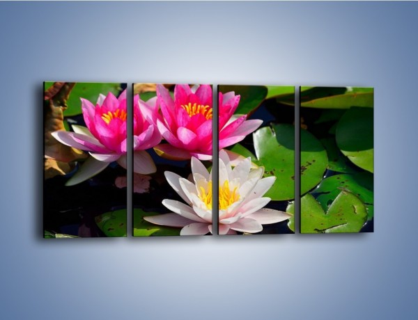 Obraz na płótnie – Pływające kwiaty – czteroczęściowy K392W1