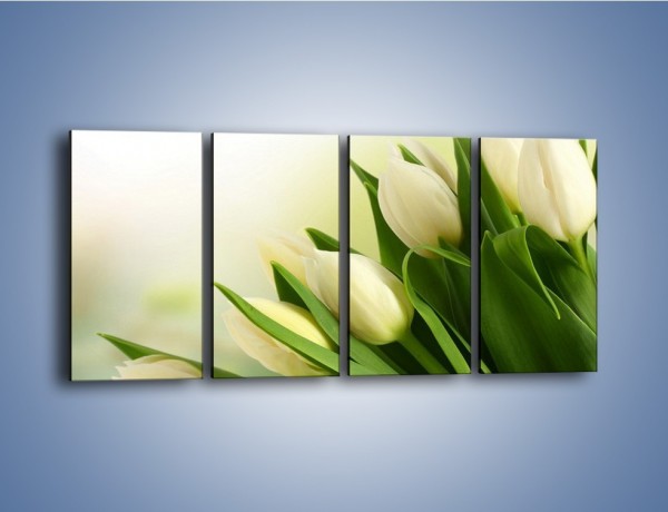 Obraz na płótnie – Białe tulipany na zgodę – czteroczęściowy K400W1
