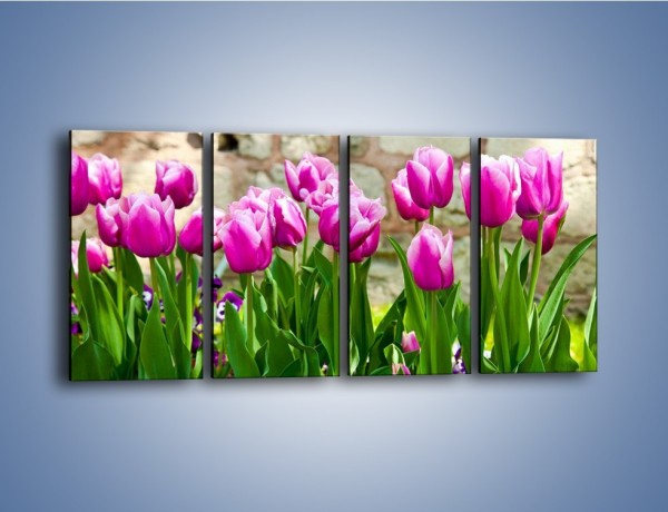 Obraz na płótnie – Tulipany w domowym ogródku – czteroczęściowy K409W1