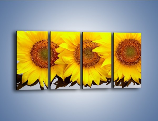 Obraz na płótnie – Najpiękniejsza odsłona słoneczników – czteroczęściowy K416W1