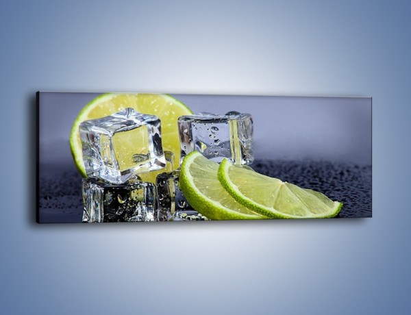 Obraz na płótnie – Plastry limonki o zmroku – jednoczęściowy panoramiczny JN496