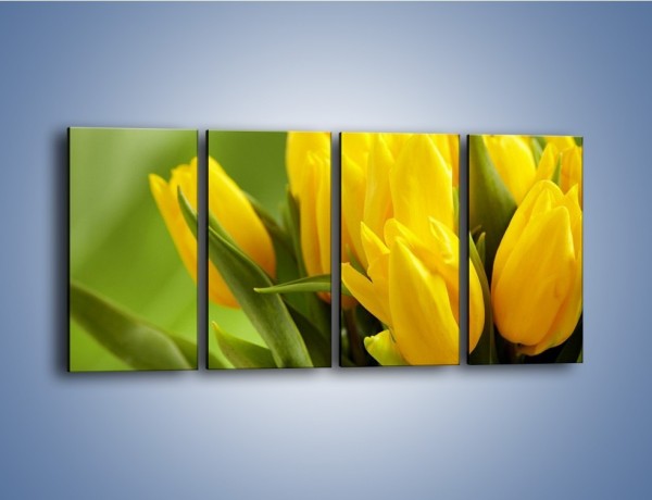 Obraz na płótnie – Słońce schowane w tulipanach – czteroczęściowy K424W1