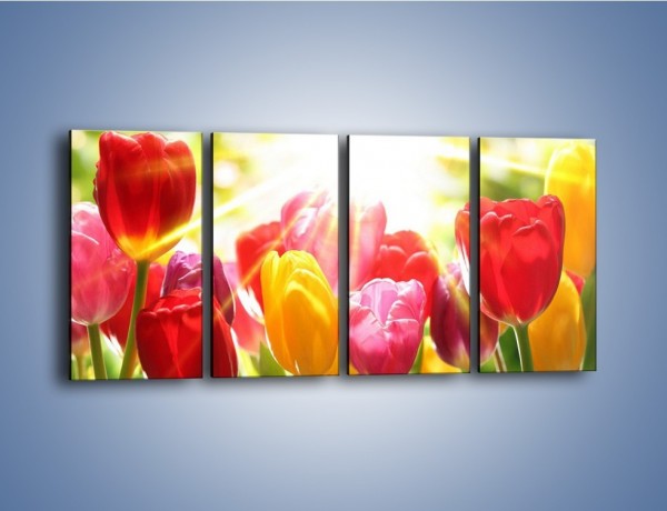 Obraz na płótnie – Bajecznie słoneczne tulipany – czteroczęściowy K428W1