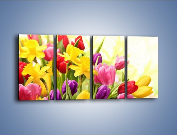 Obraz na płótnie – Żonkile wśród tulipanów – czteroczęściowy K430W1
