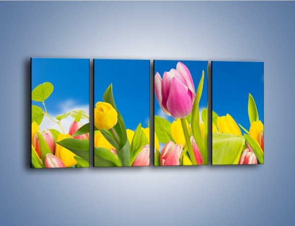 Obraz na płótnie – Kolorowe tulipany w bajkowej oprawie – czteroczęściowy K431W1