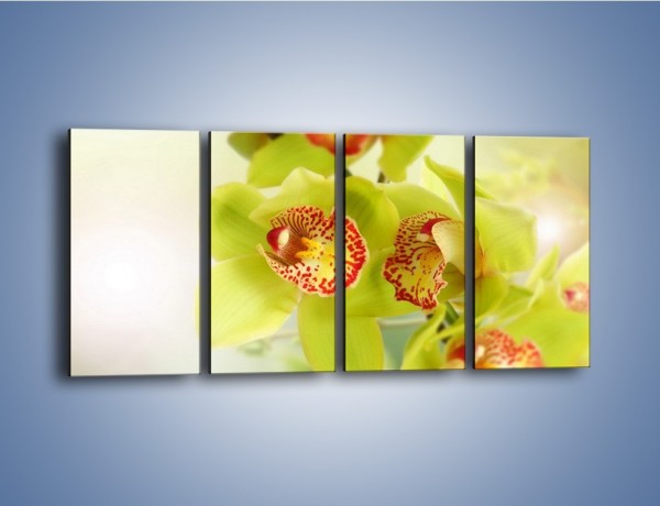 Obraz na płótnie – Limonkowy kwiat – czteroczęściowy K447W1