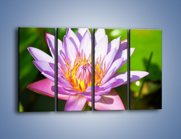 Obraz na płótnie – Wesoły kwiat w słońcu – czteroczęściowy K455W1