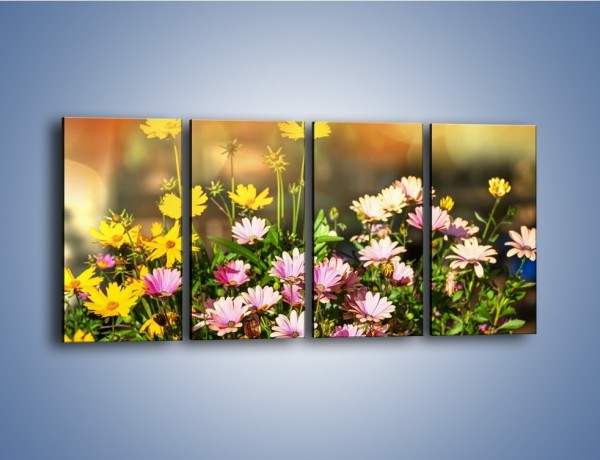 Obraz na płótnie – Polne kwiaty z uśmiechem – czteroczęściowy K456W1
