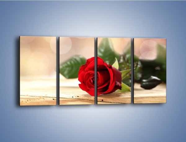 Obraz na płótnie – Stęskniona róża – czteroczęściowy K505W1