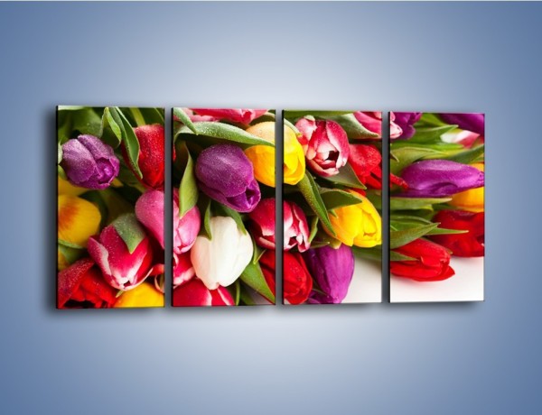 Obraz na płótnie – Spokój i luz zachowany w tulipanach – czteroczęściowy K538W1
