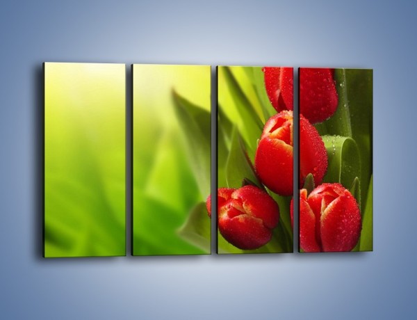 Obraz na płótnie – Liście tulipanów – czteroczęściowy K546W1