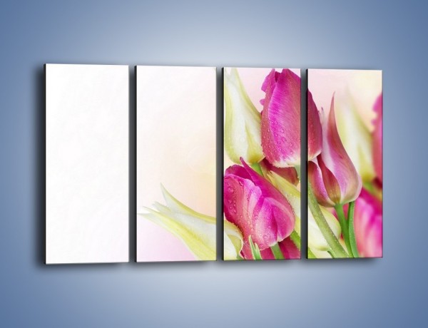 Obraz na płótnie – Kolorowa moc tulipanowa – czteroczęściowy K549W1
