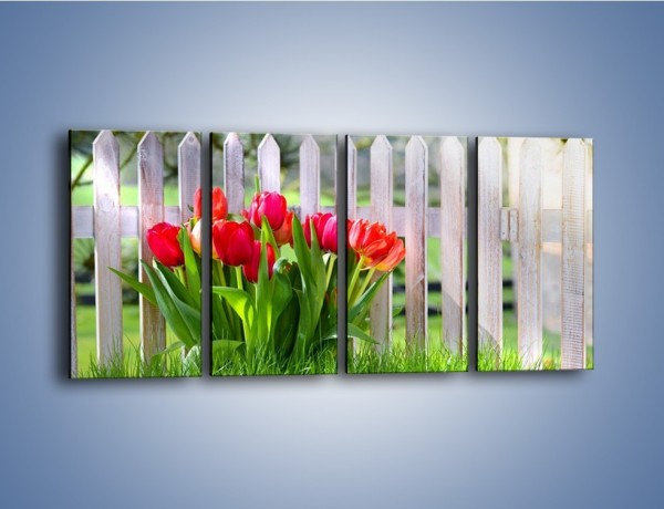 Obraz na płótnie – Tulipanki przy płocie – czteroczęściowy K554W1