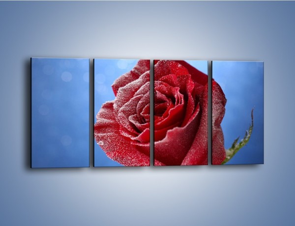 Obraz na płótnie – Róża w chłodne dni – czteroczęściowy K597W1