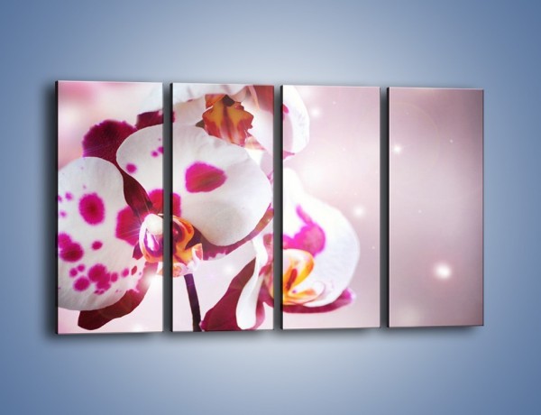Obraz na płótnie – Storczyk w różowych plamkach – czteroczęściowy K607W1