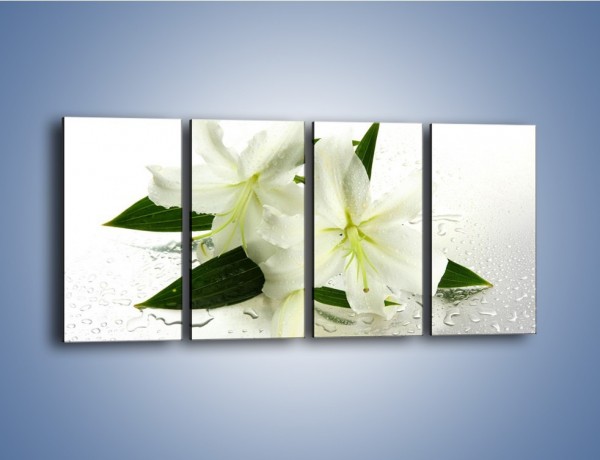 Obraz na płótnie – Niewinność białej lilii – czteroczęściowy K632W1