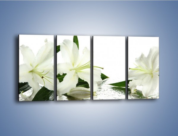 Obraz na płótnie – Czysta biel kwiatów – czteroczęściowy K633W1