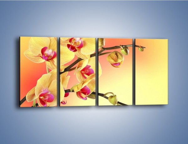 Obraz na płótnie – Kwiat w kolorze grejfruta – czteroczęściowy K649W1
