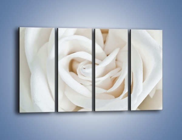 Obraz na płótnie – Biel róży za dnia – czteroczęściowy K709W1