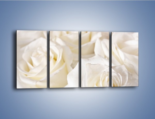 Obraz na płótnie – Dywan z białych róż – czteroczęściowy K711W1