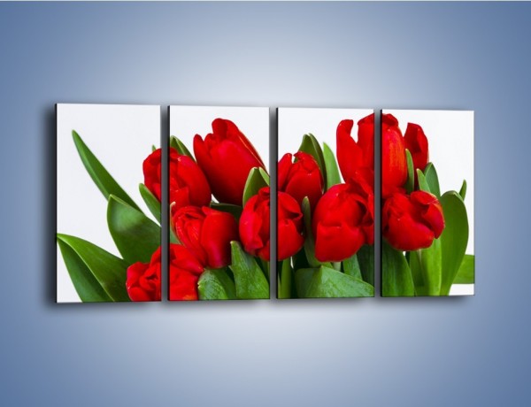 Obraz na płótnie – Tulipany na dzień kobiet – czteroczęściowy K740W1