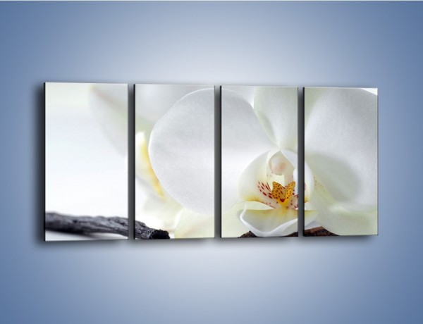 Obraz na płótnie – Laski wanilii i kwiat – czteroczęściowy K750W1