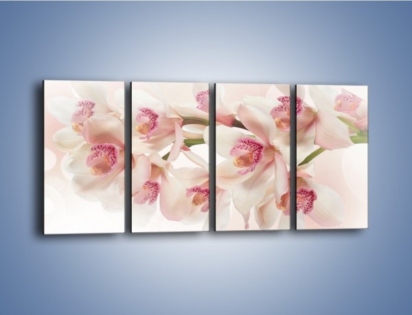 Obraz na płótnie – Szlachetne różowe storczyki – czteroczęściowy K756W1
