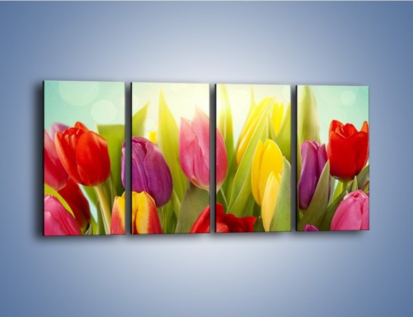 Obraz na płótnie – Tulipany w pierwszym rzędzie – czteroczęściowy K760W1