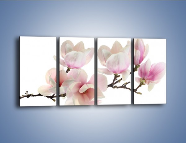 Obraz na płótnie – Zerwana gałązka magnolii – czteroczęściowy K780W1