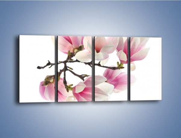 Obraz na płótnie – Wirujące kwiaty magnolii – czteroczęściowy K781W1