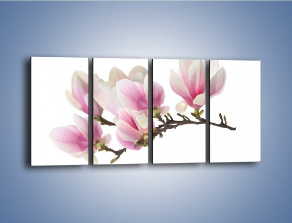 Obraz na płótnie – Rzut na gałąź magnolii – czteroczęściowy K782W1