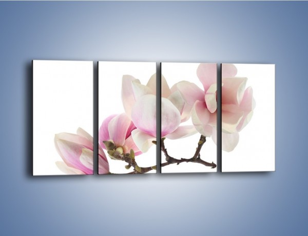 Obraz na płótnie – Obcięte gałązki białych różowych kwiatów – czteroczęściowy K783W1