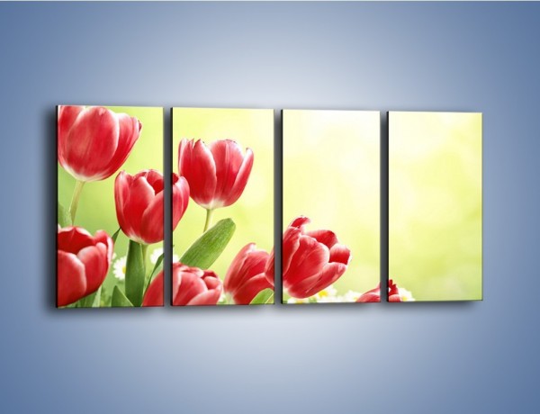 Obraz na płótnie – Polne tulipany i stokrotki – czteroczęściowy K789W1