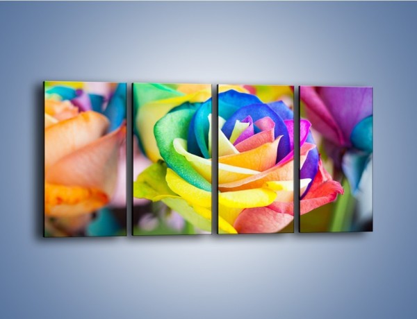 Obraz na płótnie – Róże z każdej strony – czteroczęściowy K798W1