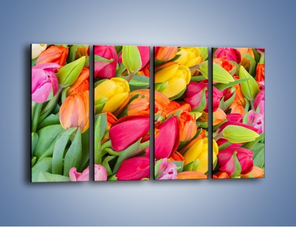 Obraz na płótnie – Ścięte pole tulipanów – czteroczęściowy K803W1